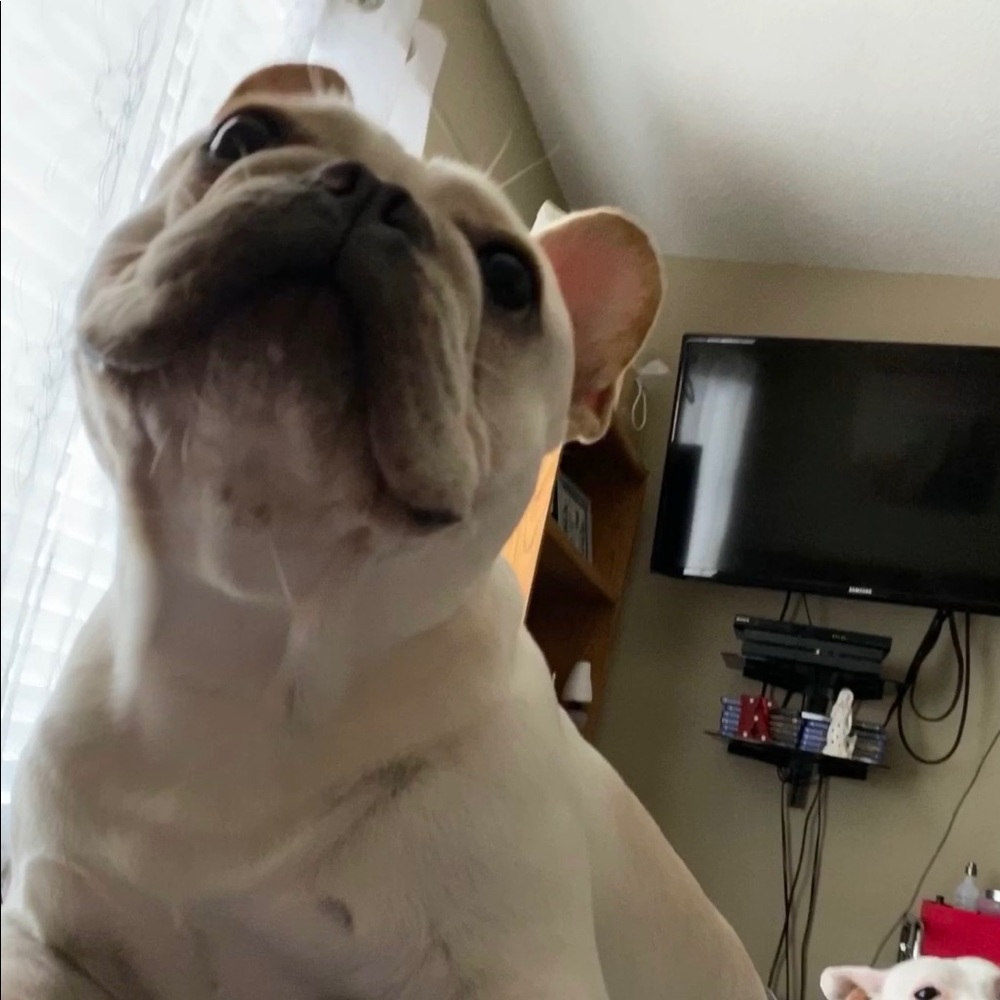 Meet your Posher, Keren